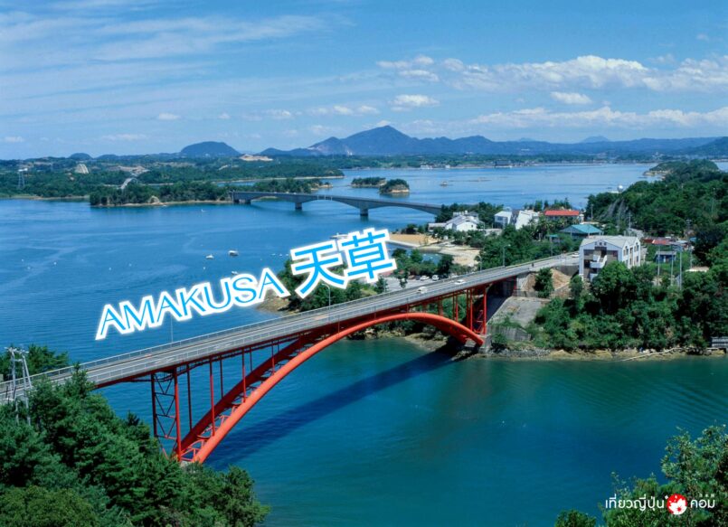 Kumamoto: ชมความน่ารักของปลาโลมาที่ Amakusa