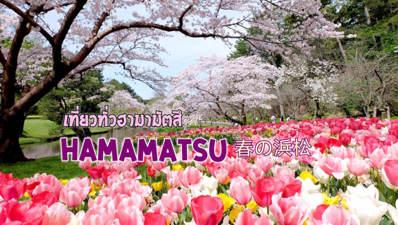 Shizuoka: เที่ยวทั่ว Hamamatsu แช่ออนเซ็น ชมดอกไม้ เก็บสตรอว์เบอร์รี กินข้าวปลาไหล