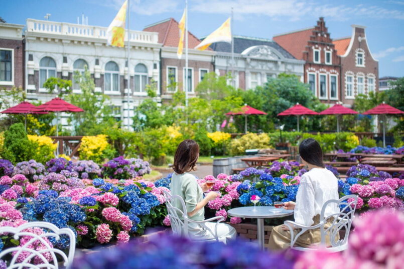เทศกาลชมไฮเดรนเยีย Ajisai Festival ที่ Huis Ten Bosch จ.นางาซากิ