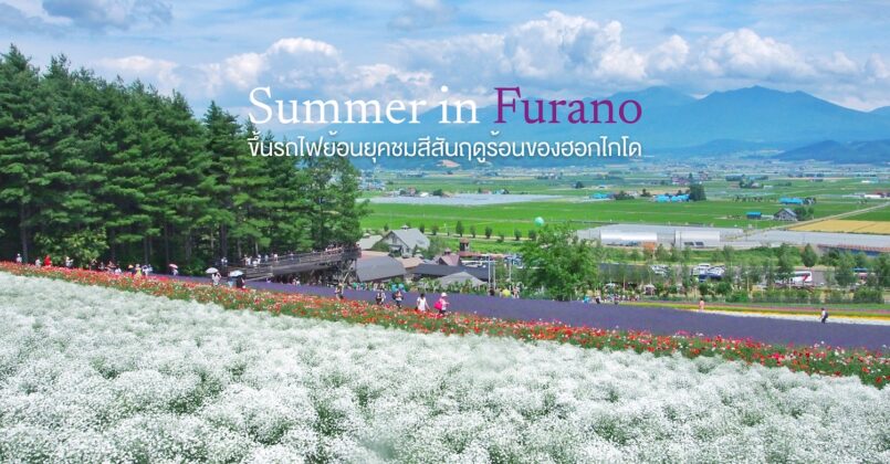 Hokkaido: ขึ้นรถไฟย้อนยุค ชมสีสันฤดูร้อนของฟุราโนะ ผ่านทุ่งลาเวนเดอร์ ซอฟท์ครีม และเมลอนฉ่ำๆ
