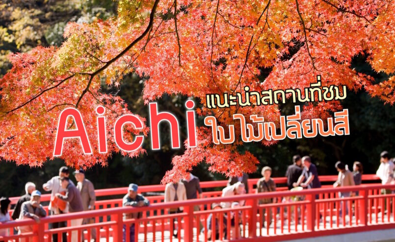 Aichi: 3 จุดชมใบไม้เปลี่ยนสีสุดปังของไอจิ ที่ต้องใส่ในแผนเที่ยว Golden Route