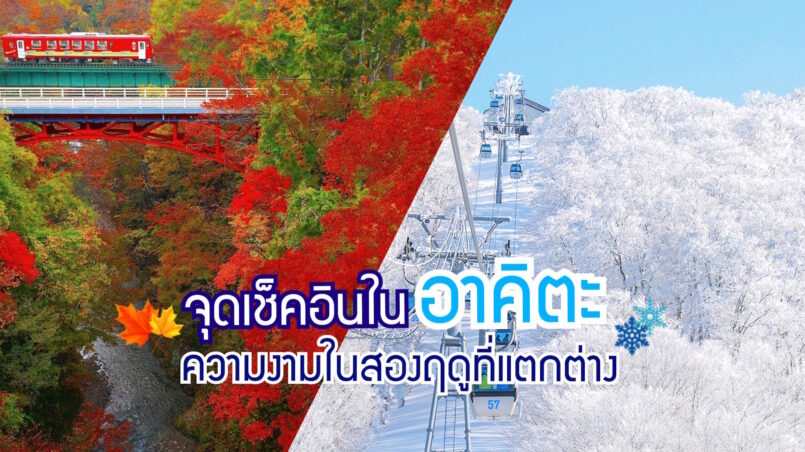 Akita: สถานที่เที่ยวในอะคิตะ ความงามสองฤดูที่แตกต่าง ช่วงฤดูใบไม้ร่วง และฤดูหนาว