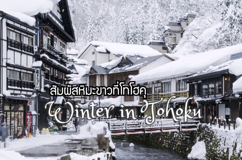Tohoku: แนะนำ 8 สถานที่เที่ยวและกิจกรรมสัมผัสหิมะขาวที่โทโฮคุ เอาใจคนชอบอากาศหนาว