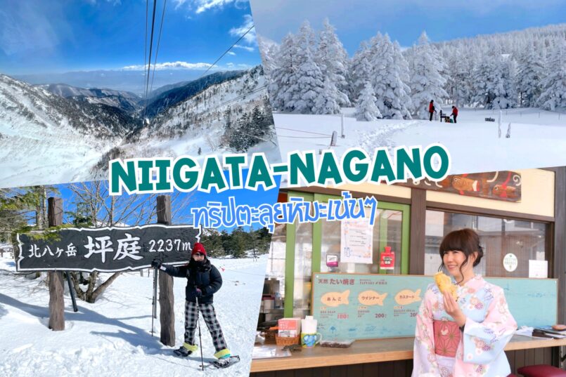 Niigata-Nagano ทริปขับรถตะลุยเมืองหิมะเน้นๆ 6 วัน ตั้งต้นจากโตเกียว (ครึ่งหลัง)