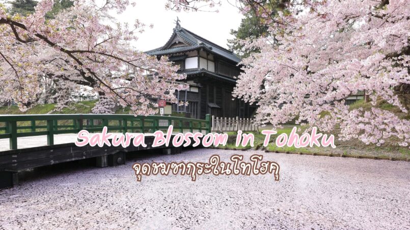 Tohoku : สถานที่เที่ยวช่วงฤดูใบไม้ผลิ จุดชมซากุระในโทโฮคุที่คนญี่ปุ่นแนะนำ