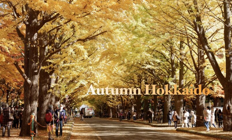 Hokkaido: ใบไม้เปลี่ยนสีที่ฮอกไกโด ตอน 4 : Jozankei – Sapporo