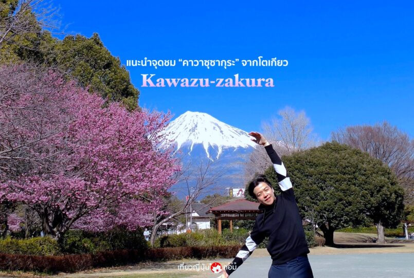 แนะนำสถานที่ชม “คาวาซุซากุระ”เดินทางง่ายจากโตเกียว