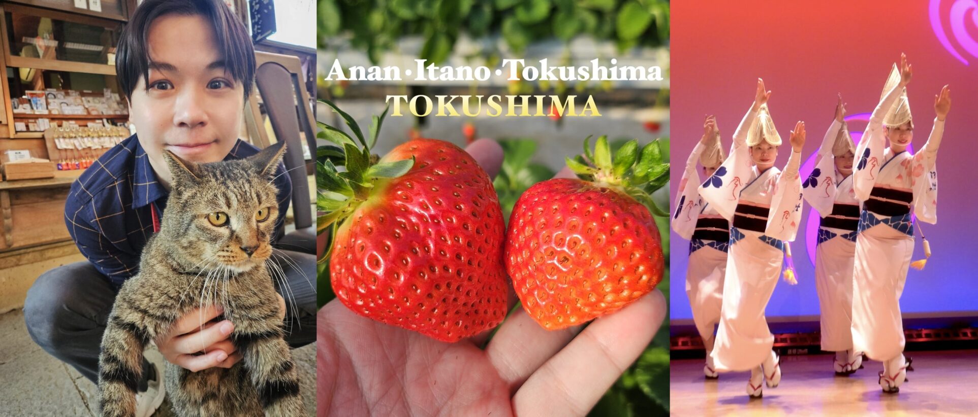Tokushima: เจาะลึกจังหวัดโทคุชิมะ EP.3 – Anan, Itano, Tokushima