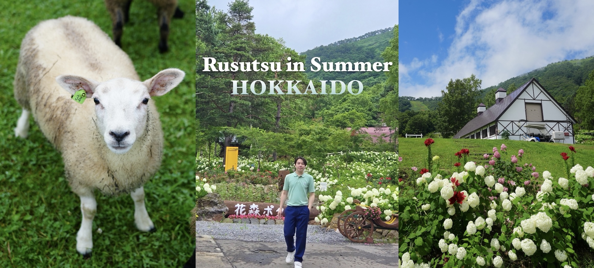 Hokkaido: Rusutsu in Summer สัมผัสเสน่ห์ซัมเมอร์ของฮอกไกโด