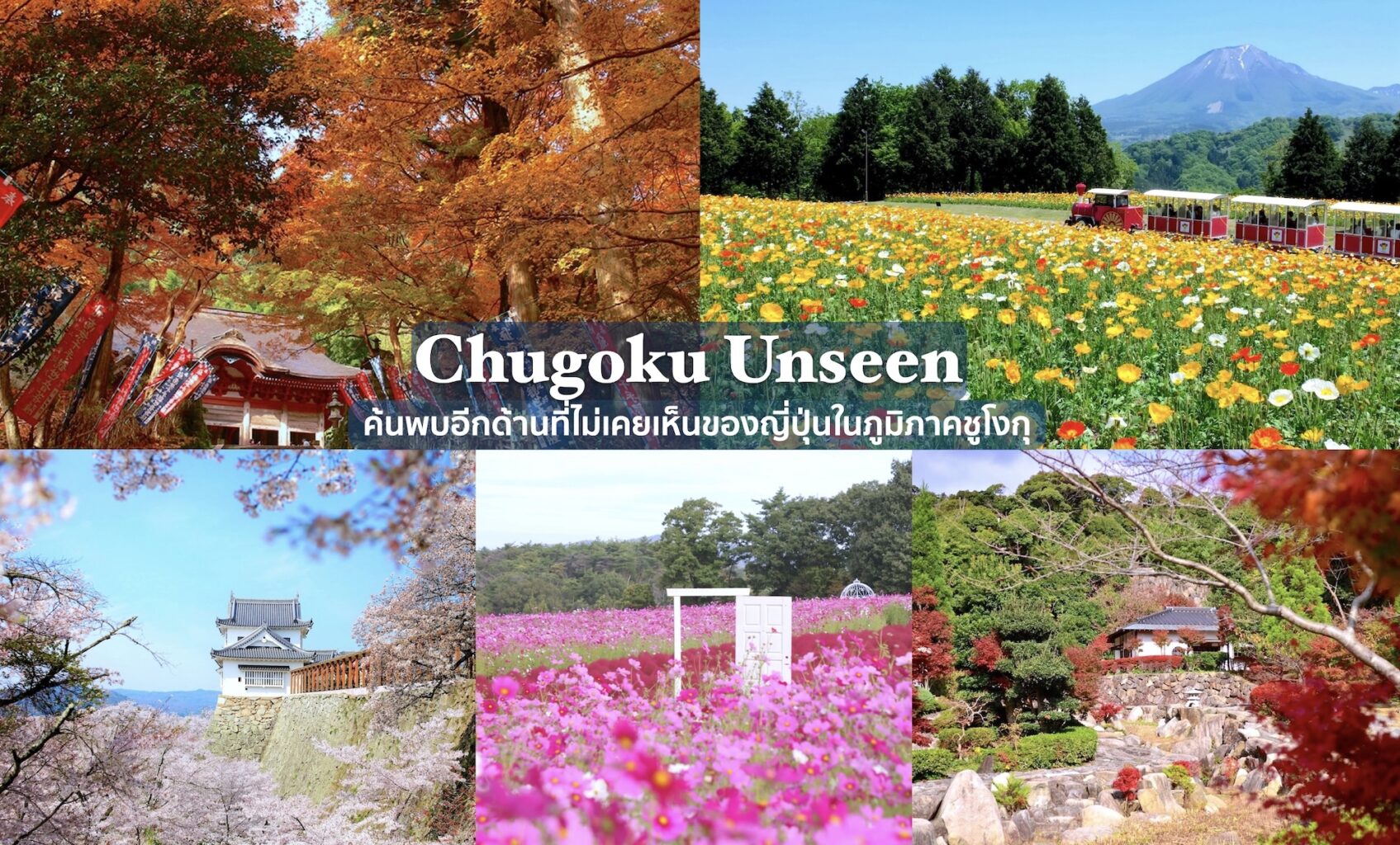 15 ที่เที่ยว “ชูโงกุ” (Chugoku) เสน่ห์ Unseen แดนตะวันตกของญี่ปุ่น