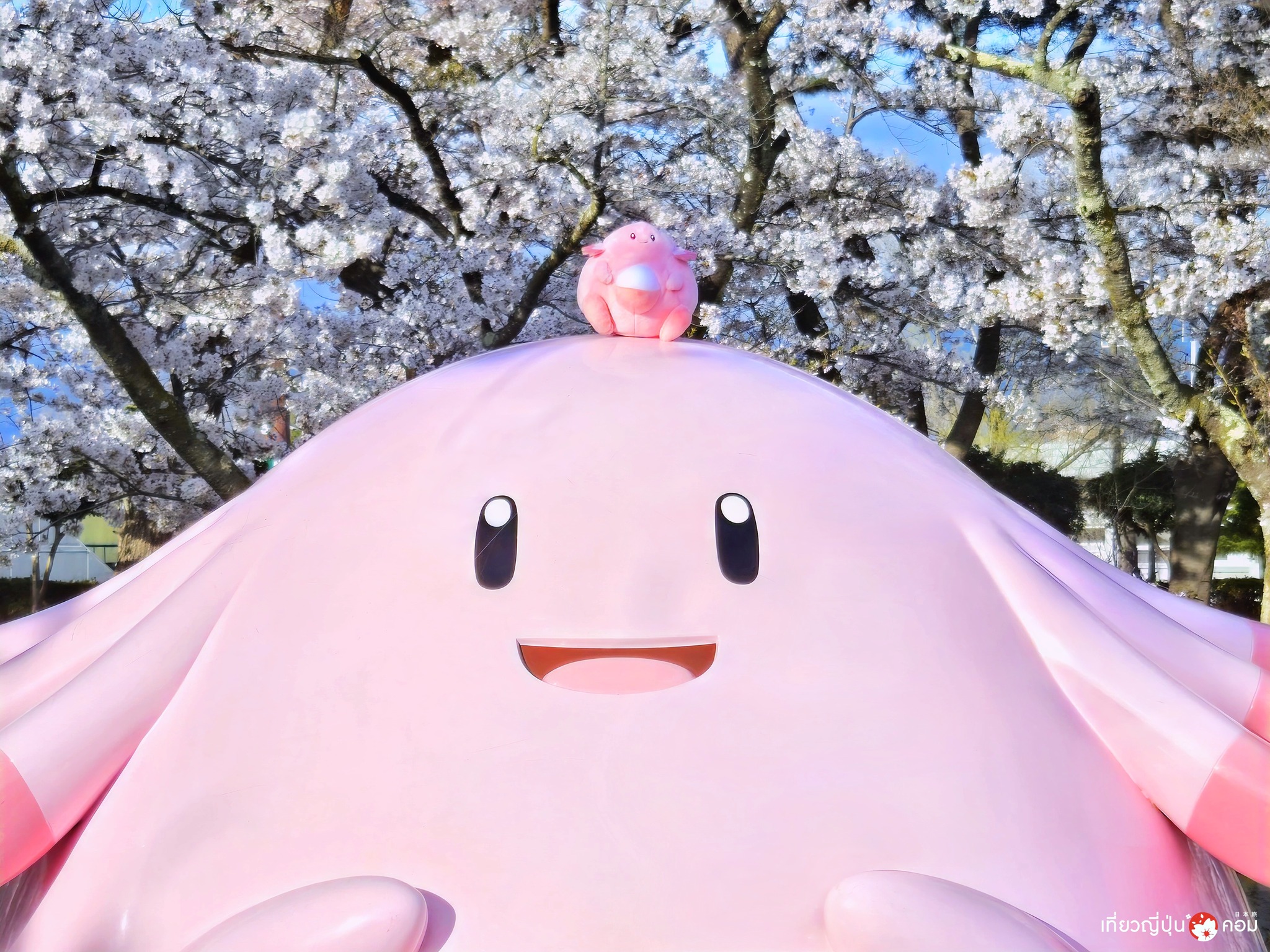 Fukushima: Lucky Park in Koriyama สวนสาธารณะลัคกี้ล้อมด้วยซากุระ