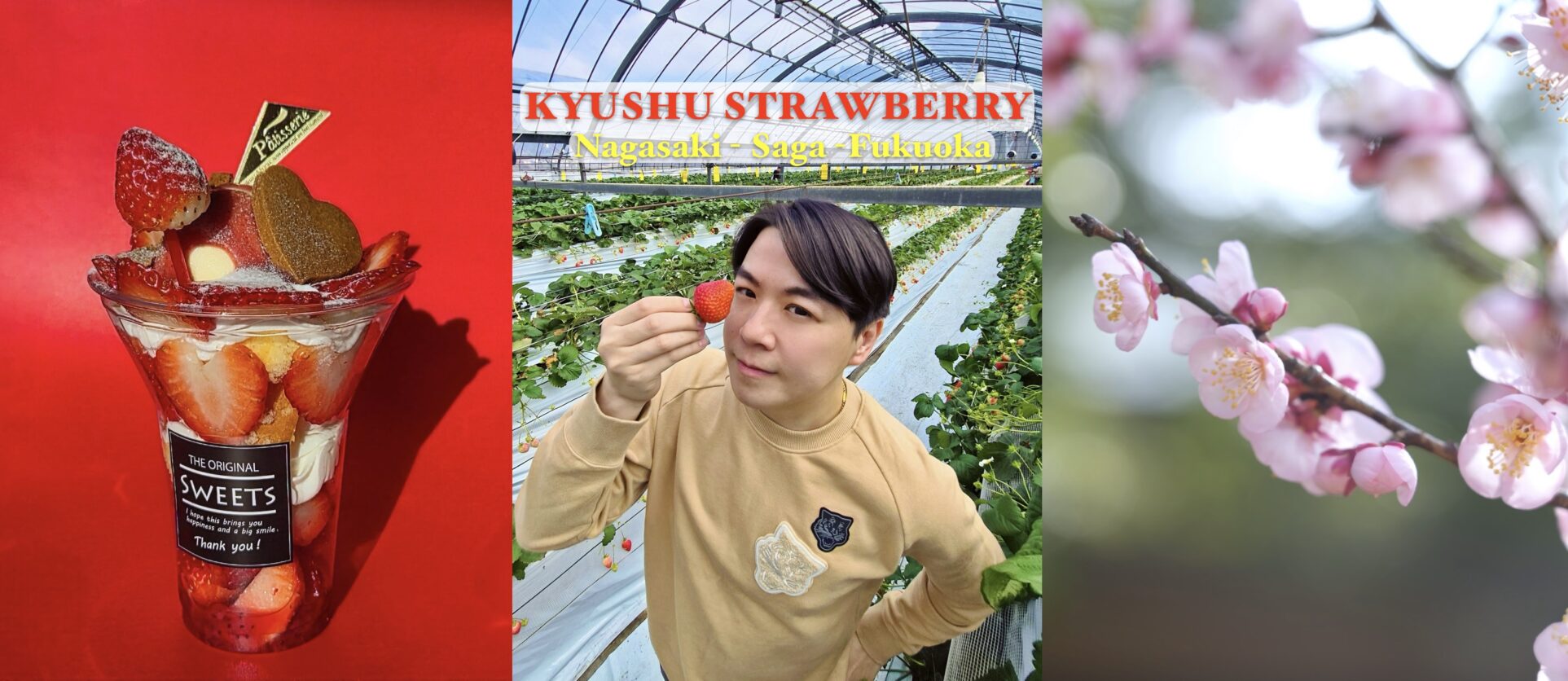 Kyushu Strawberry 🍓 เที่ยวคิวชูไป กินคิวชูสตรอเบอร์รี่ไป ตอน 1: Nagasaki-Saga-Fukuoka
