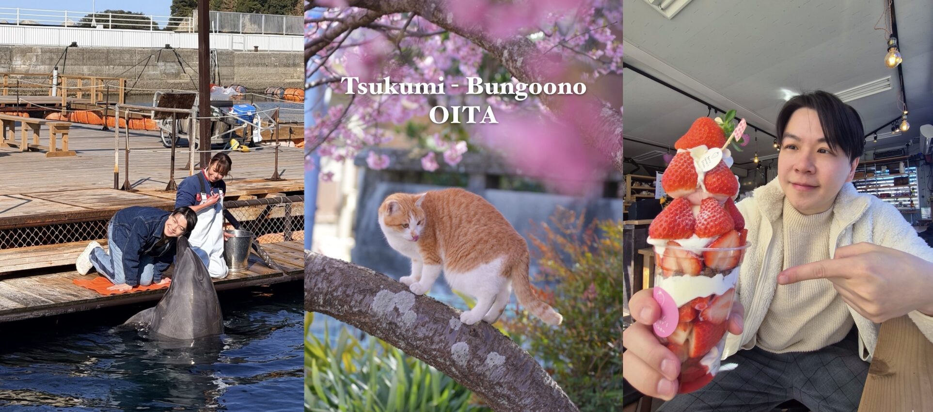 Kyushu Strawberry 🍓 เที่ยวคิวชูไป กินคิวชูสตรอเบอร์รี่ไป ตอน 2.2 : Oita (Tsukumi & Bungo-Ōno)