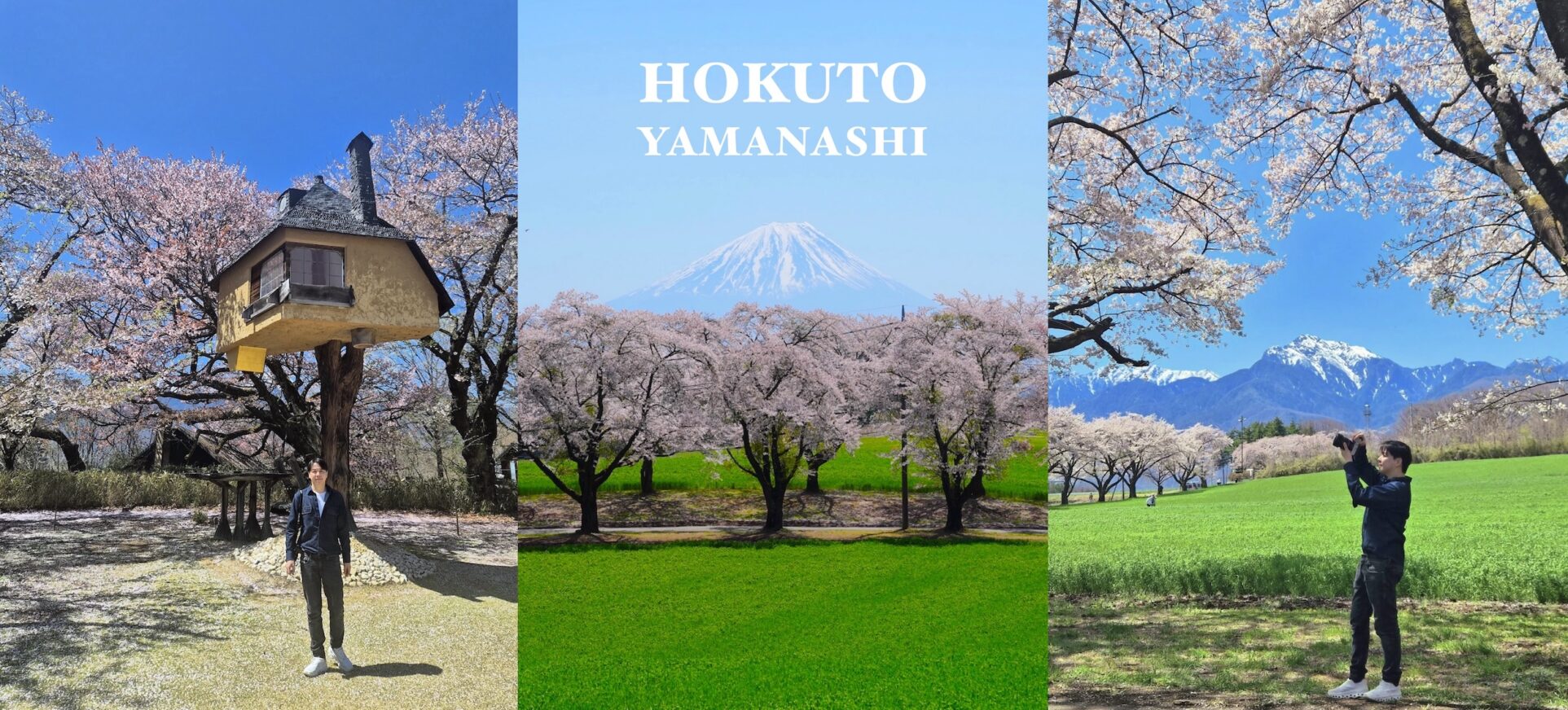 Yamanashi:โฮคุโตะ (Hokuto) เมืองตากอากาศอันซีน ไม่ไกลจากโตเกียว ตอน 2 – จุดชมซากุระ
